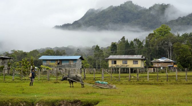 Back to Borneo, and an Eden at Risk